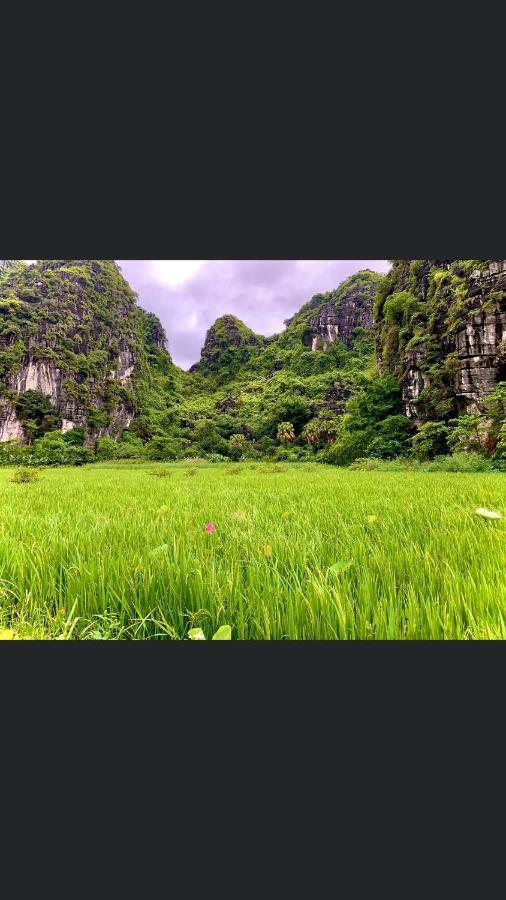 Tam Coc Scenery Homestay Van Lam Luaran gambar